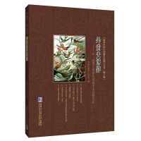  ��������:��һ����ʿ������x�ο�ԇԇ�}Մ��