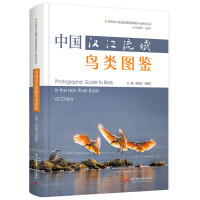 �Ї�(gu��)�h�������BD�b