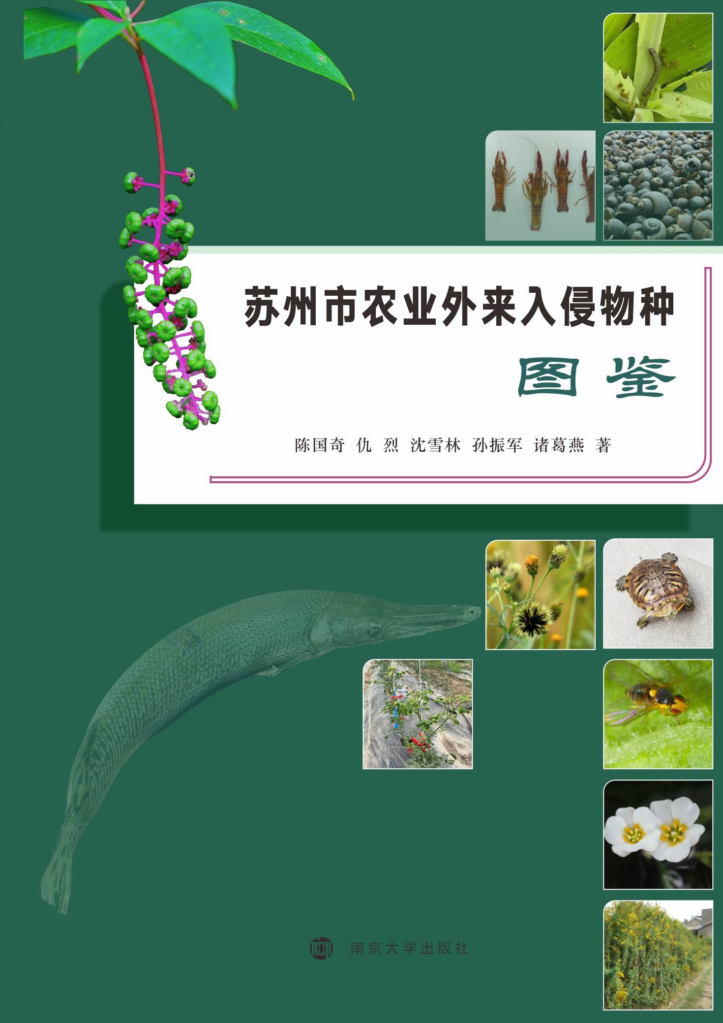 �K�����r(n��ng)�I(y��)���������N�D�b