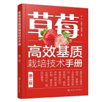 ��ݮ��Ч���|(zh��)���༼�g(sh��)�փ�  �ڶ���