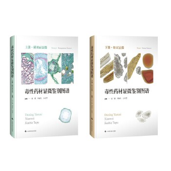  ����ˎ���@΢�b�e�D�V