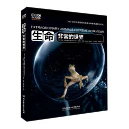 �������ǳ�������