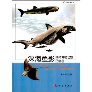 ����׵����ĊW��