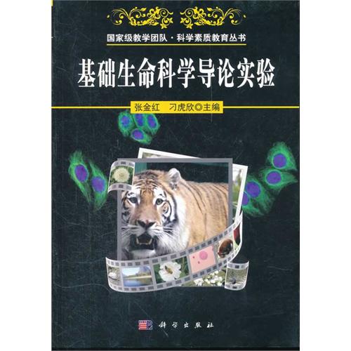 ���A(ch��)�����ƌW(xu��)��(d��o)Փ��(sh��)�(y��n)