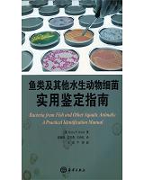 �~�����ˮ����(d��ng)�：(x��)����(sh��)���b��ָ�� 