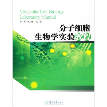 ���Ӽ�(x��)������W(xu��)��(sh��)�(y��n)�̳�