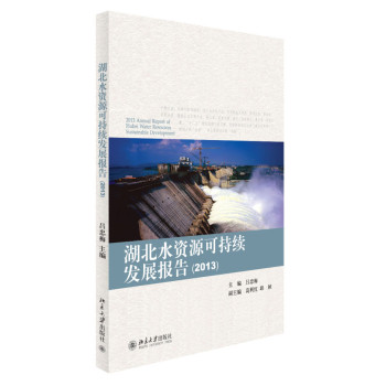 ����ˮ�YԴ�ɳ��m(x��)�l(f��)չ��(b��o)�棨2013��