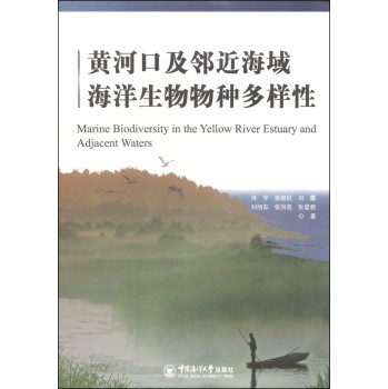 �S�ӿڼ�����������������N������