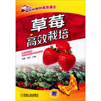 ��ݮ��Ч���� 