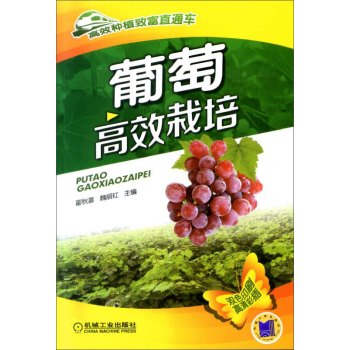 ��Ч�Nֲ�¸�ֱͨ܇(ch��)�����Ѹ�Ч���� 