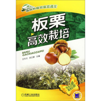 ������Ч���� 