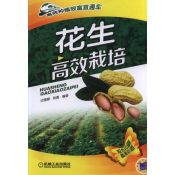 ������Ч���� 