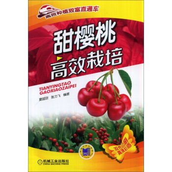 ����Ҹ�Ч���� 