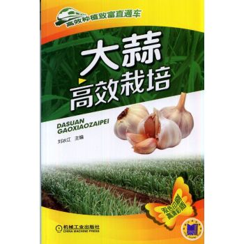 �����Ч���� 