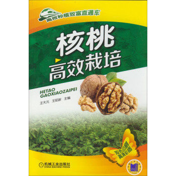 ���Ҹ�Ч���� 