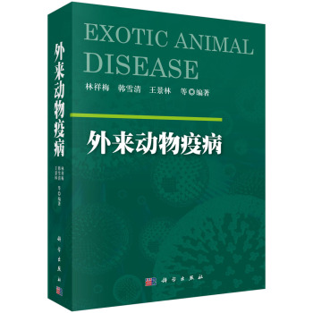 ����(d��ng)���߲�