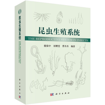 ���x��ֳϵ�y(t��ng)