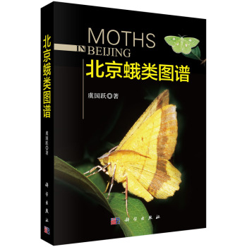 ������D�V