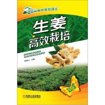 ������Ч����                                                                              