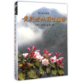 �Ĵ�ʡ���A�h�S�G����ֲ��