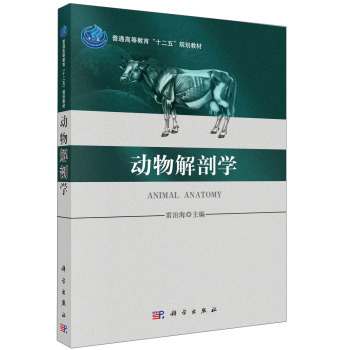 ������ʌW