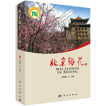 ����÷��