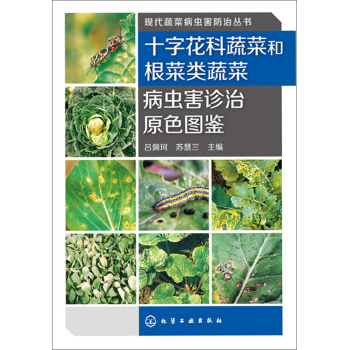 ʮ�ֻ����߲˺͸����(l��i)�߲˲��x(ch��ng)���\��ԭɫ�D�b