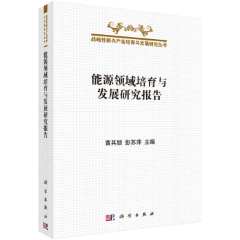 ��Դ�I(l��ng)�������c�l(f��)չ�о���(b��o)��