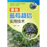 �����{ݮ�������ü��g