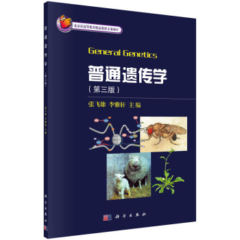 ��ͨ�z���W�������棩