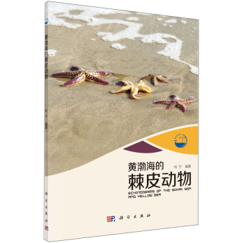 �S�����ļ�Ƥ����