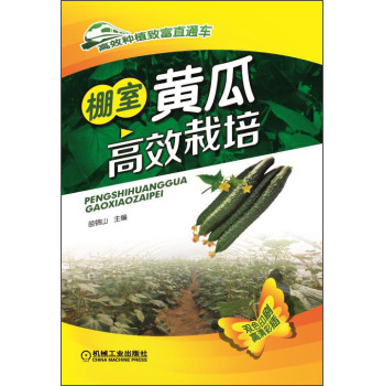 �����S�ϸ�Ч����