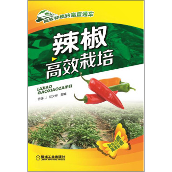 ������Ч����