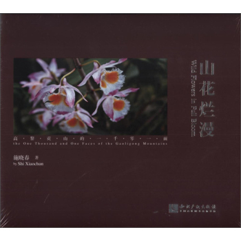 ɽ������