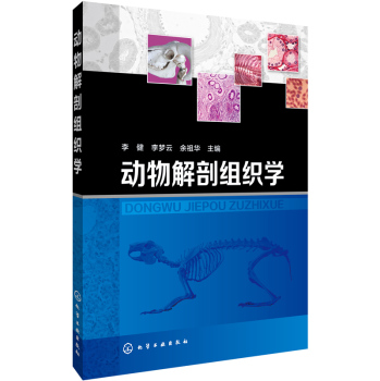 ������ʽM���W