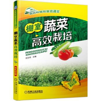 �����߲˸�Ч����