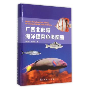 �V������������Ӳ���~D�b