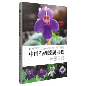 �Ї�ʯ������ֲ��