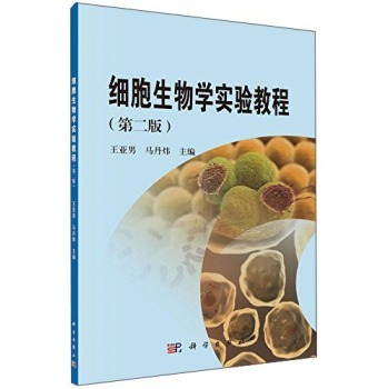 ��������W���̳�