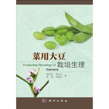 ���ô���������