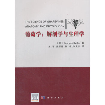 ���ьW(xu��)�����ʌW(xu��)�c����W(xu��)