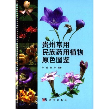 �F�ݳ�������ˎ��ֲ��ԭɫ�D�b