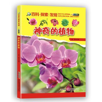 �����ֲ��