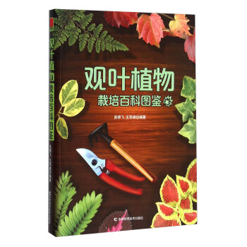 �^�~ֲ������ٿƈD�b