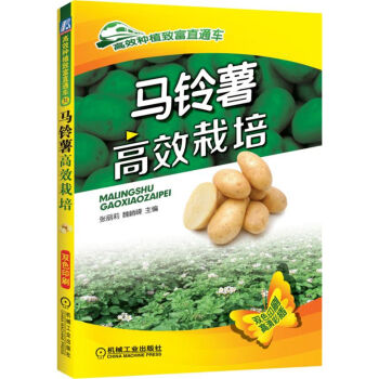 �R�����Ч����