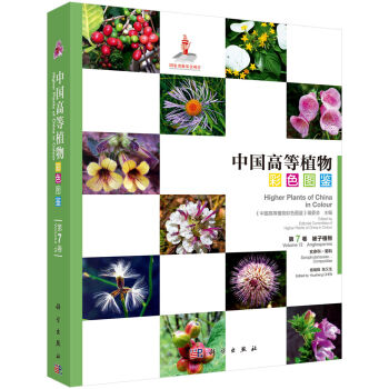 �Ї��ߵ�ֲ���ɫ�D�b  ���߾� ����ֲ�� �����ơ��տ�