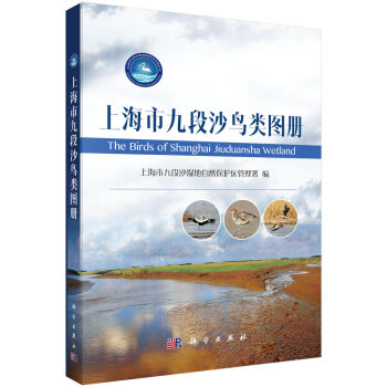 �Ϻ��оŶ�ɳ�BD��