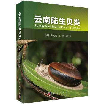 �������ؐ�