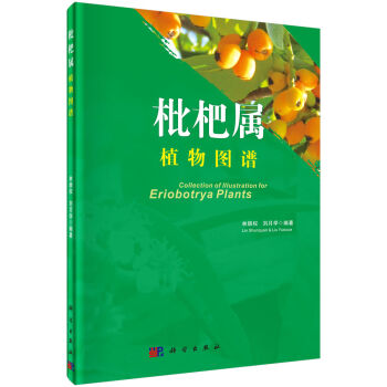 ���ˌ�ֲ��D�V