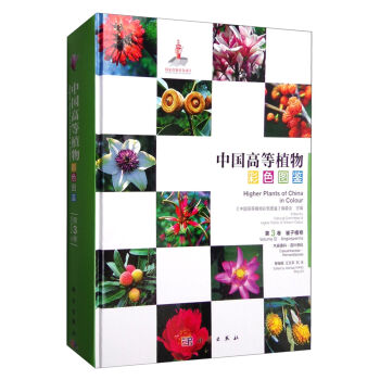 �Ї�(gu��)�ߵ�ֲ���ɫ�D�b  ������  ľ���S�ơ�ɏ�~ͩ��